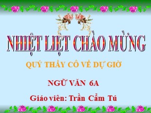 Bài giảng Ngữ văn Lớp 6 - Tiết 51: Treo biển - Lợn cưới áo mới - Trần Cẩm Tú