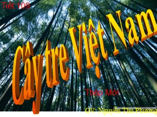 Bài giảng Ngữ văn Lớp 7 - Tiết 109: Cây tre Việt Nam - Nguyễn Thu Phương