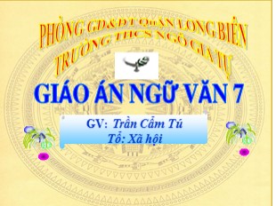 Bài giảng Ngữ văn Lớp 7 - Tiết 35: Từ đồng nghĩa - Trần Cẩm Tú