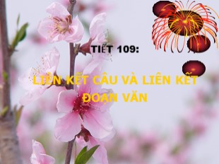 Bài giảng Ngữ văn Lớp 9 - Tiết 109 : Liên kết câu và liên kết đoạn văn