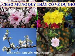 Bài giảng Ngữ văn Lớp 9 - Tiết 29: Cảnh ngày xuân - Nguyễn Minh Ngọc
