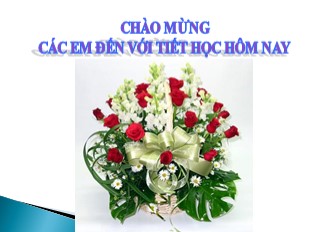 Bài giảng Toán Khối 8 - Tiết 57: Liên hệ giữa thứ tự và phép cộng