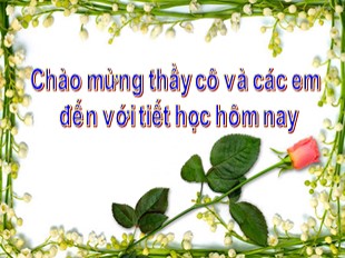 Bài giảng Toán Lớp 8 - Tiết 48: Các trường hợp đồng dạng của tam giác vuông