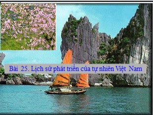 Bài giảng Địa lý Lớp 8 - Bài 25: Lịch sử phát triển của tự nhiên Việt Nam