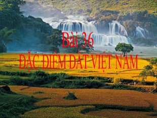 Bài giảng Địa lý Lớp 8 - Bài 36: Đặc điểm đất Việt Nam