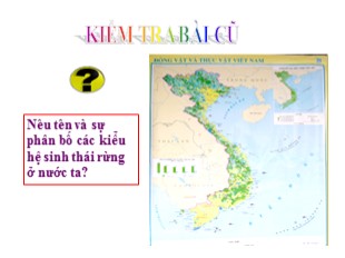 Bài giảng Địa lý Lớp 8 - Bài 38: Bảo vệ tài nguyên sinh vật Việt Nam