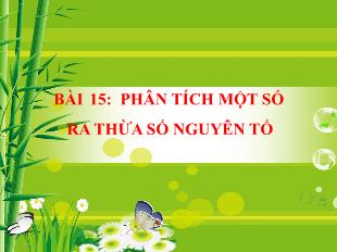 Bài giảng Toán Lớp 6 - Bài 15: Phân tích một số ra thừa số nguyên tố