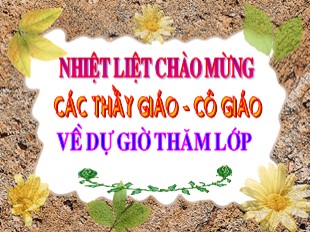 Bài giảng Ngữ văn Khối 6 - Tiết 19: Từ nhiều nghĩa và hiện tượng chuyển nghĩa của từ