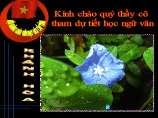 Bài giảng Ngữ văn Lớp 6 - Tiết 92: Phương pháp tả người