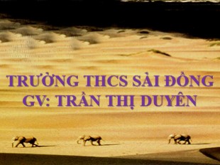 Bài giảng Địa lý Lớp 7 - Bài 19: Môi trường hoang mạc - Trần Thị Duyên
