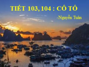 Bài giảng Ngữ văn 6 - Tiết 103+104: Cô Tô