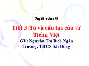 Bài giảng Ngữ văn Lớp 6 - Tiết 3: Từ và cấu tạo của từ Tiếng Việt - Nguyễn Thị Bích Ngân