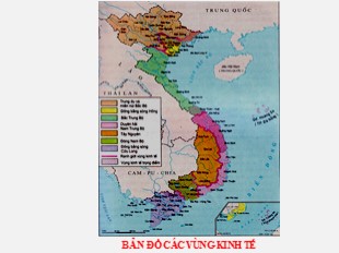 Bài giảng Địa lý Lớp 9 - Bài 27: Thực hành Kinh tế biển của Bắc Trung Bộ và duyên hải Nam Trung Bộ