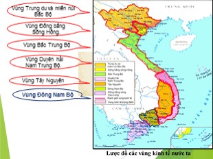 Bài giảng Địa lý Lớp 9 - Bài 31: Vùng Đông Nam Bộ