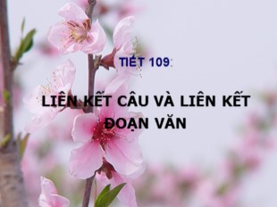 Bài giảng Ngữ văn Khối 9 - Tiết 109: Liên kết câu và liên kết đoạn văn