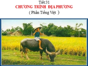 Bài giảng Ngữ văn Lớp 8 - Tiết 31: Chương trình địa phương (Phần tiếng Việt )