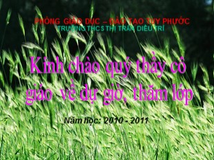 Bài giảng Ngữ văn Lớp 8 - Tiết 59: Ôn luyện về dấu câu - Năm học 2010-2011 - Trường THCS Trần Diêu Trì