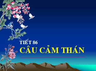 Bài giảng Ngữ văn Lớp 8 - Tiết 86: Câu cảm thán