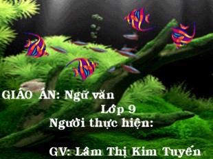 Bài giảng Ngữ văn Lớp 9 - Tiết 11+12: Tuyên bố thế giới về sự sống còn, quyền được bảo vệ và phát triển của trẻ em - Lâm Thị Kim Tuyến