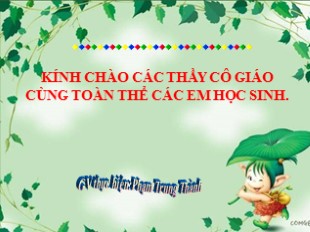 Bài giảng Ngữ văn Lớp 9 - Tiết 32: Miêu tả trong văn bản tự sự - Phạm Trung Thành