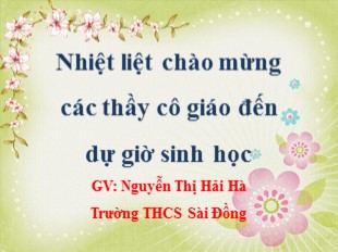 Bài giảng Sinh học Lớp 8 - Bài 25: Tiêu hóa ở khoang miệng - Nguyễn Thị Hải Hà