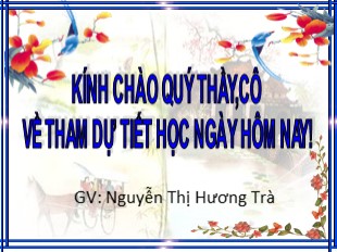 Bài giảng Toán Lớp 8 - Tiết 42: Khái niệm hai tam giác đồng dạng - Nguyễn Thị Hương Trà