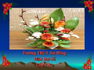 Bài giảng Toán Lớp 8 - Tiết 44: Luyện tập - Trường THCS Sài Đồng