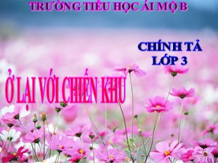 Bài giảng Chính tả Lớp 3 - Tuần 20: Ở lại với chiến khu - Trường Tiểu Học Ái Mộ B