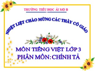 Bài giảng Chính tả Lớp 3 - Tuần 4: Người mẹ - Trường Tiểu Học Ái Mộ B