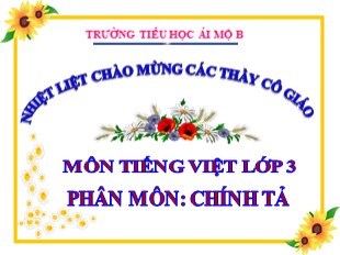 Bài giảng Chính tả Lớp 3 - Tuần 4: Ông ngoại - Trường Tiểu Học Ái Mộ B