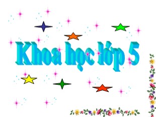 Bài giảng Khoa học 5 - Tuần 15: Cao su