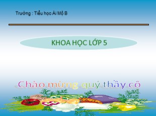 Bài giảng Khoa học 5 - Tuần 25: Ôn tập vật chất và năng lượng