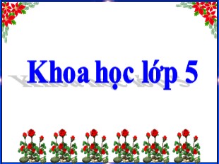 Bài giảng Khoa học 5 - Tuần 26: Cơ quan sinh sản của thực vật có hoa