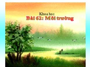 Bài giảng Khoa học 5 - Tuần 31: Môi trường