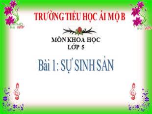 Bài giảng Khoa học Lớp 5 - Bài 1: Sự sinh sản - Trường TH Ái Mộ B