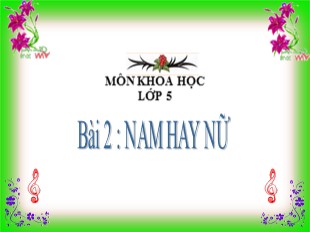 Bài giảng Khoa học Lớp 5 - Bài 2: Nam hay nữ