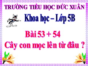 Bài giảng Khoa học Lớp 5 - Bài 53+54: Cây con mọc lên từ đâu?