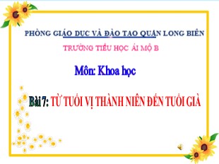 Bài giảng Khoa học Lớp 5 - Bài 7: Từ tuổi vị thành niên đến tuổi già - Trường TH Ái Mộ B