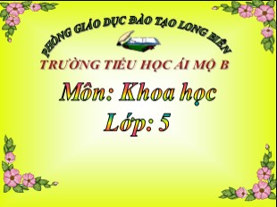 Bài giảng Khoa học Lớp 5 - Tiết 32: Tơ sợi - Trường TH Ái Mộ B