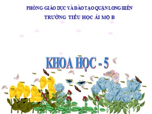 Bài giảng Khoa học Lớp 5 - Tiết 36: Hỗn hợp - Trường TH Ái Mộ B