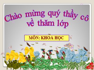 Bài giảng Khoa học Lớp 5 - Tiết 39: Sự biến đổi hóa học