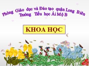 Bài giảng Khoa học Lớp 5 - Tuần 11: Tre, mây, song - Trường TH Ái Mộ B