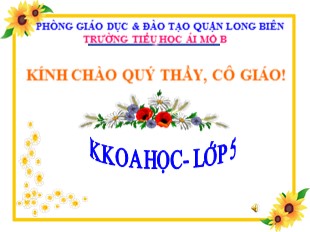 Bài giảng Khoa học Lớp 5 - Tuần 13: Nhôm - Trường TH Ái Mộ B