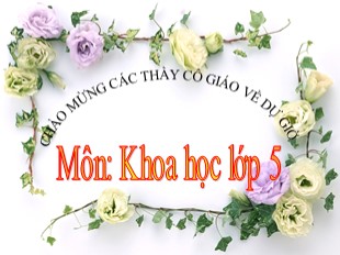 Bài giảng Khoa học Lớp 5 - Tuần 14: Gốm xây dựng: Gạch, ngói