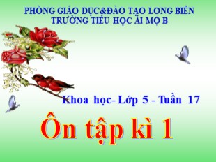 Bài giảng Khoa học Lớp 5 - Tuần 17: Ôn tập kì 1 (Tiết 2) - Trường TH Ái Mộ B