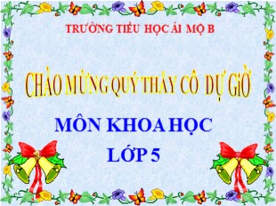 Bài giảng Khoa học Lớp 5 - Tuần 28: Sự sinh sản của thực vật có hoa - Trường TH Ái Mộ B