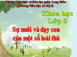 Bài giảng Khoa học Lớp 5 - Tuần 32: Sự nuôi và dạy con của một số loài thú - Trường TH Ái Mộ B