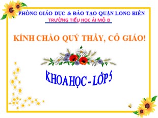 Bài giảng Khoa học Lớp 5 - Tuần 6: Dùng thuốc an toàn