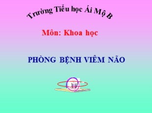 Bài giảng Khoa học Lớp 5 - Tuần 7: Phòng bệnh viêm não - Trường TH Ái Mộ B