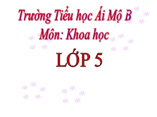 Bài giảng Khoa học Lớp 5 - Tuần 8: Phòng bệnh viêm gan A - Trường TH Ái Mộ B